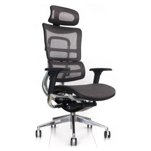Mesh Office Chair